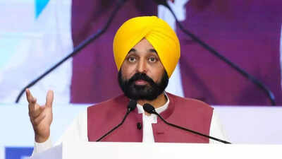 Biogas projects to ensure effective agri waste management: Mann | India News