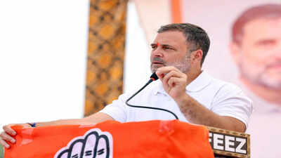 Despite rift, Rahul Gandhi says DMK with opposition on ‘idea of India’ | India News