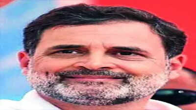 Rahul meets 5 key Punjab netas ahead of call on party rejig | India News
