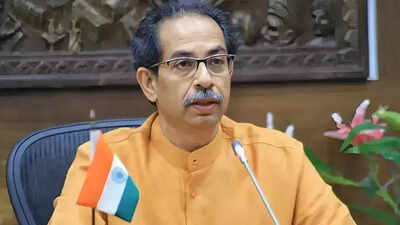 NDA looks to boost numbers in Lok Sabha, Sena UBT may also split | India News