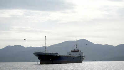 Rescued 14 Indians from sinking dhow, says US | India News