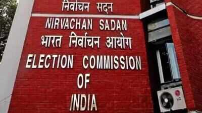 EC extends deadline for voter verification exercise in Andhra Pradesh, Haryana | India News