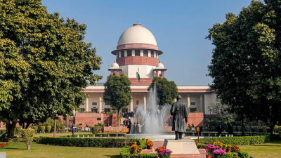 Supreme Court lays down ITR norms for fixing accident damages | India News