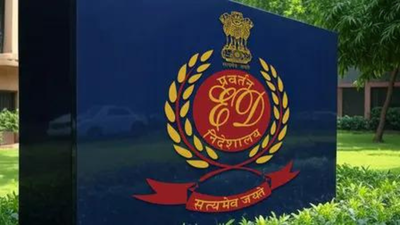 ED auctions for Rs 3 crore Hawker aircraft seized in ponzi case | India News
