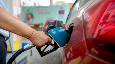Carmakers on E20: No engine damage, but mileage drops | India News