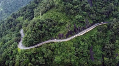 Worth more standing: India’s forests are a $2.5-trillion asset we keep forgetting to count | India News