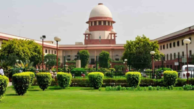 Does marital rape law shield men from unnatural sex prosecution? | India News