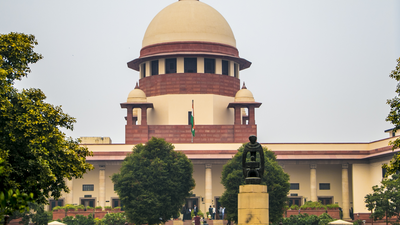 Delhi high court order has crippled consular, visa services at 4 missions: Govt to Supreme Court | India News