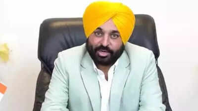 ‘Everyone does naarebaazi in democracy but … ‘: Why Supreme Court told Chandigarh admin to ‘argue on merits’ in Bhagwant Mann case | India News