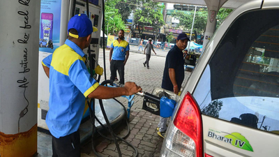 E20 petrol and vehicle mileage: What Nitin Gadkari said amid growing concerns | India News