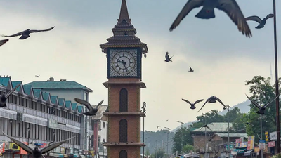 India rolls out ‘White Rabbit’ tech to secure Indian Standard Time network: What it means | India News
