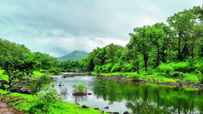 Western Ghats Ecological Zones: Centre notifies 7th draft for ecological zones in Western Ghats | India News
