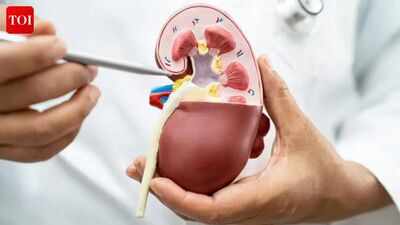 Pregnancy found growing near kidneys in rare medical case | India News