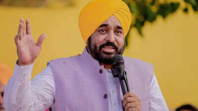 ‘Gangstran Te Vaar’: Punjab Police acts against over 58,000 criminals in 200-day crackdown | India News
