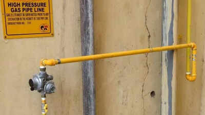 Govt announces scheme to incentivise gas companies to expand PNG network | India News