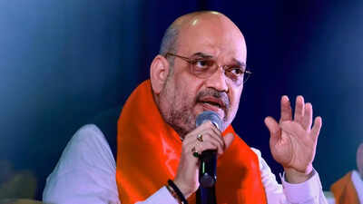 Amit Shah to chair meeting with CMs, top officials of southern states to resolve inter-state issues | India News