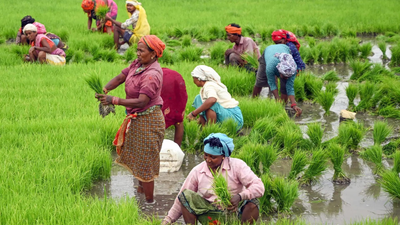 Govt extends PM-Kisan yojana | India News