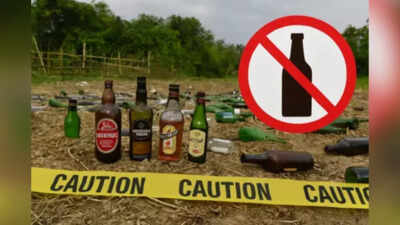 Bihar Alcohol Prohibition: Bihar should withdraw alcohol ban as it failed to curb crimes against women: Report | India News