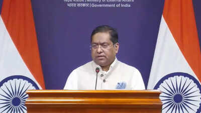 ‘Orchestrated spectacles’: India rejects Pakistan’s ‘Youm-e-Istehsal’ on revocation of Article 370 | India News