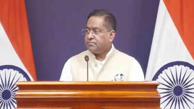UN panel report on minorities is politically motivated: Govt | India News