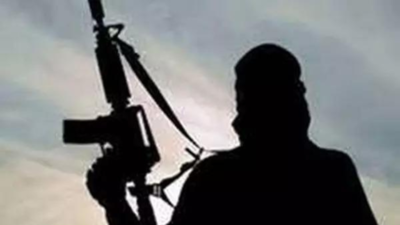 J&K: Properties of 11 Pak-based terrorist handlers attached in Ramban | India News