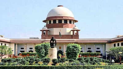 ‘Criminal cases can’t have lifespan of turtle’: Supreme Court on activist’s trial delay | India News