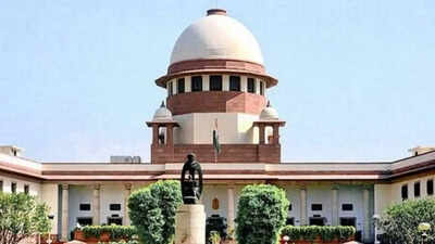‘Separatist’ OCI card holder in SC, seeks nod to visit Kashmir | India News