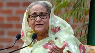 No government role, don’t endorse Hasina’s remarks at private media event: MEA | India News