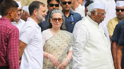 Delhi Police probes complaint against Sonia Gandhi, Rahul
