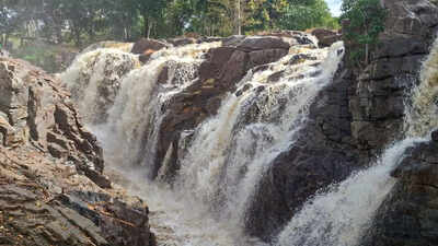 Tamil Nadu government vows to secure rightful share in inter-state river water | India News